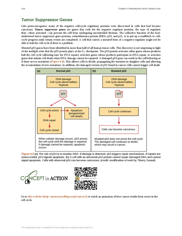 Concepts of Biology (non-majors) - Page 140