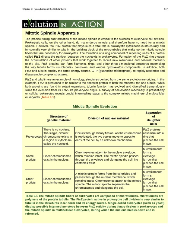 Concepts of Biology (non-majors) - Page 143