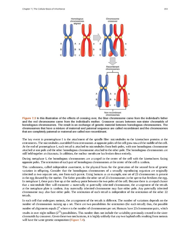 Concepts of Biology (non-majors) - Page 155