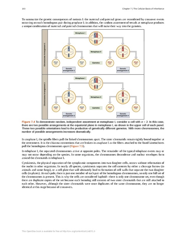 Concepts of Biology (non-majors) - Page 156