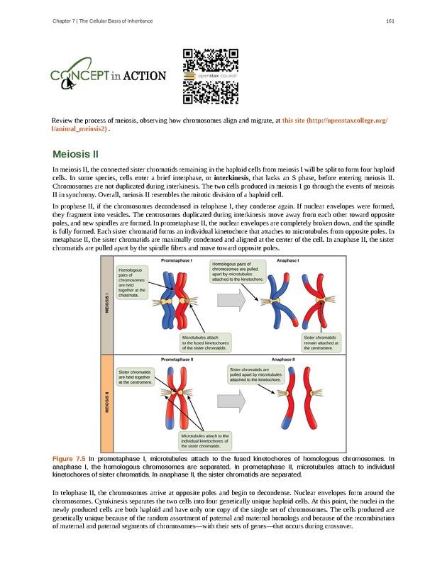 Concepts of Biology (non-majors) - Page 157