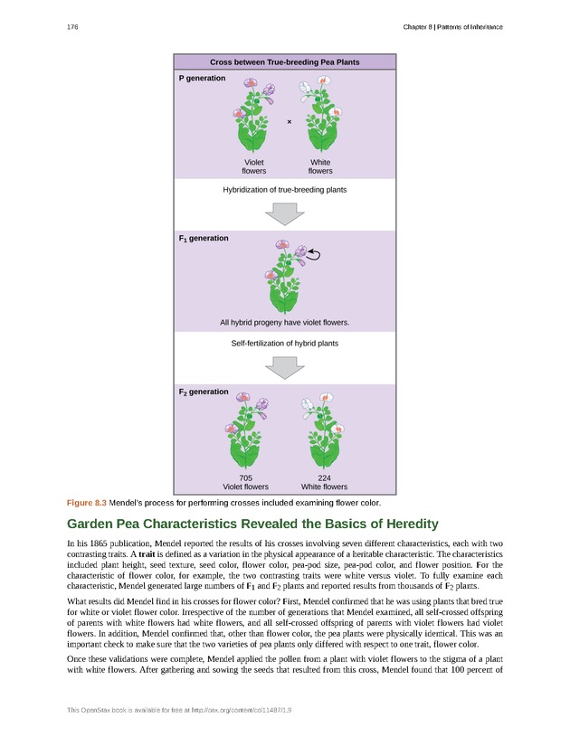 Concepts of Biology (non-majors) - Page 172