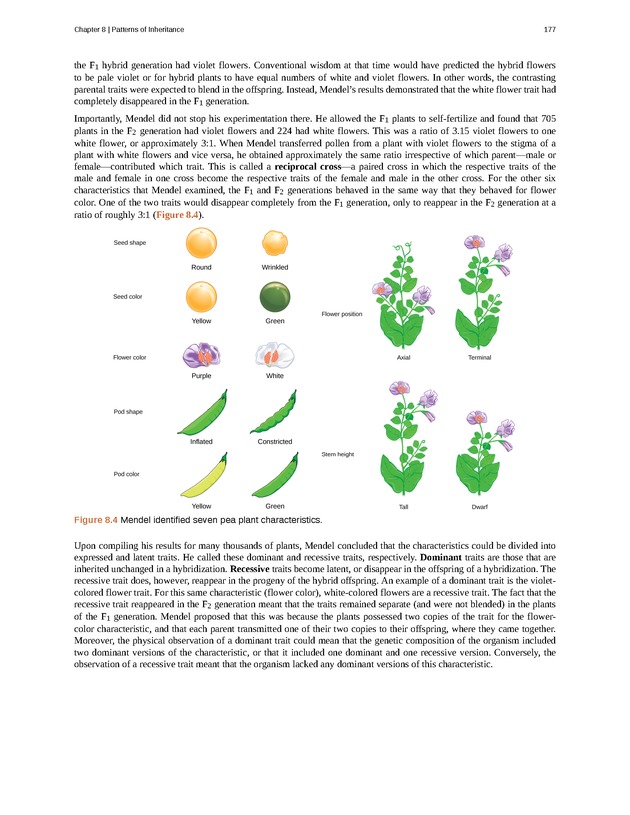 Concepts of Biology (non-majors) - Page 173