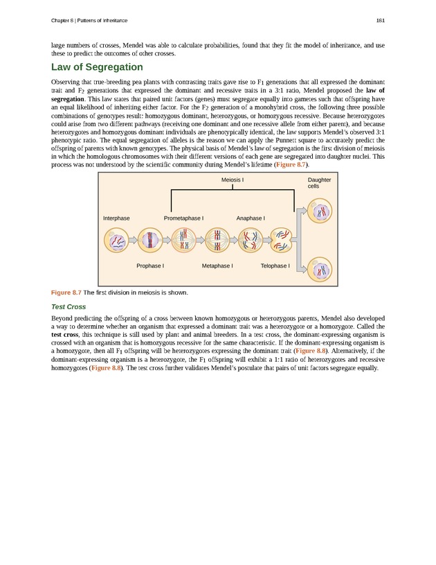Concepts of Biology (non-majors) - Page 177