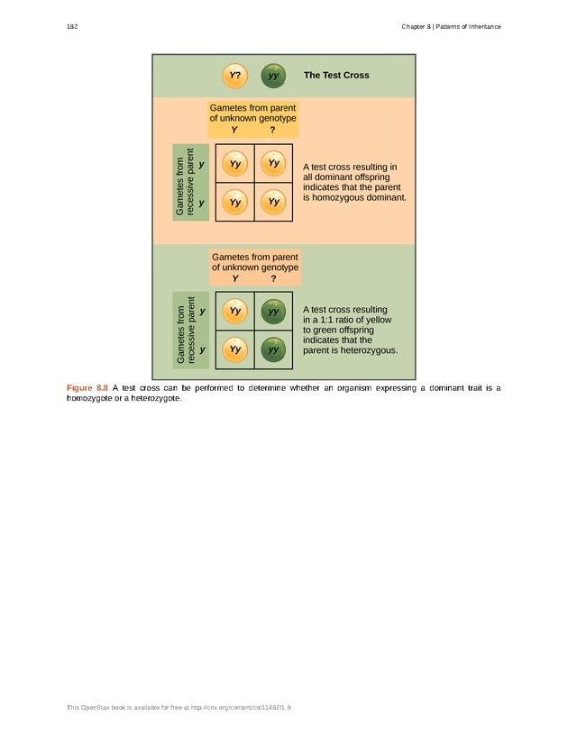 Concepts of Biology (non-majors) - Page 178