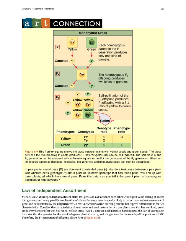Concepts of Biology (non-majors) - Page 179