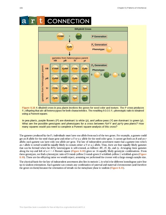 Concepts of Biology (non-majors) - Page 180