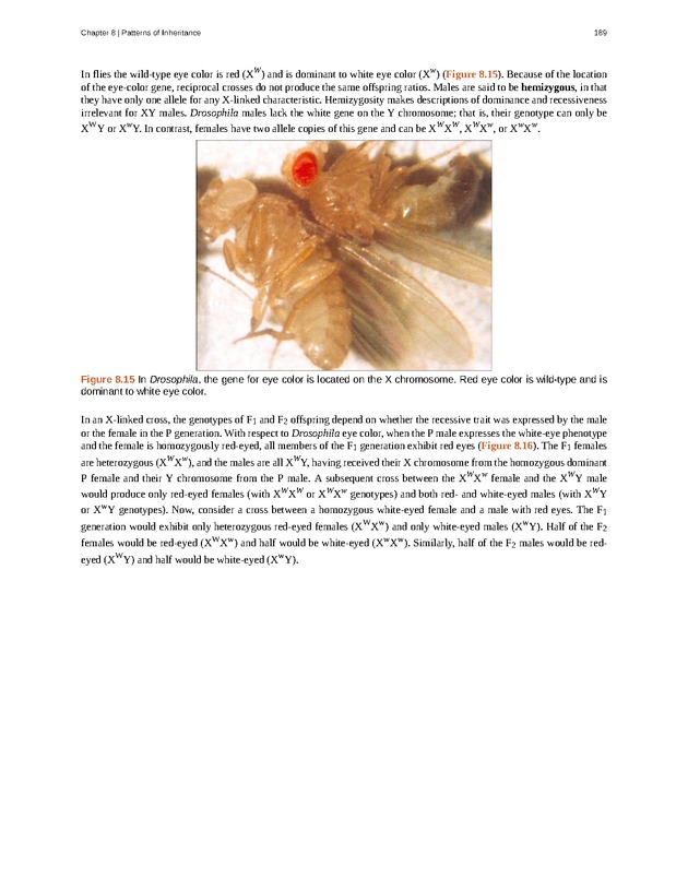 Concepts of Biology (non-majors) - Page 185