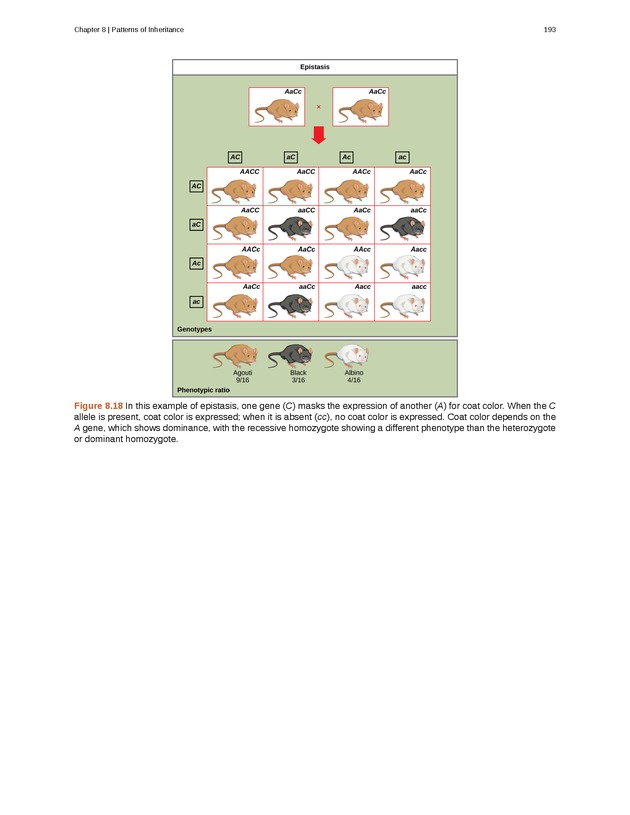 Concepts of Biology (non-majors) - Page 189