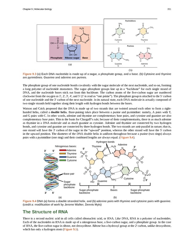 Concepts of Biology (non-majors) - Page 197