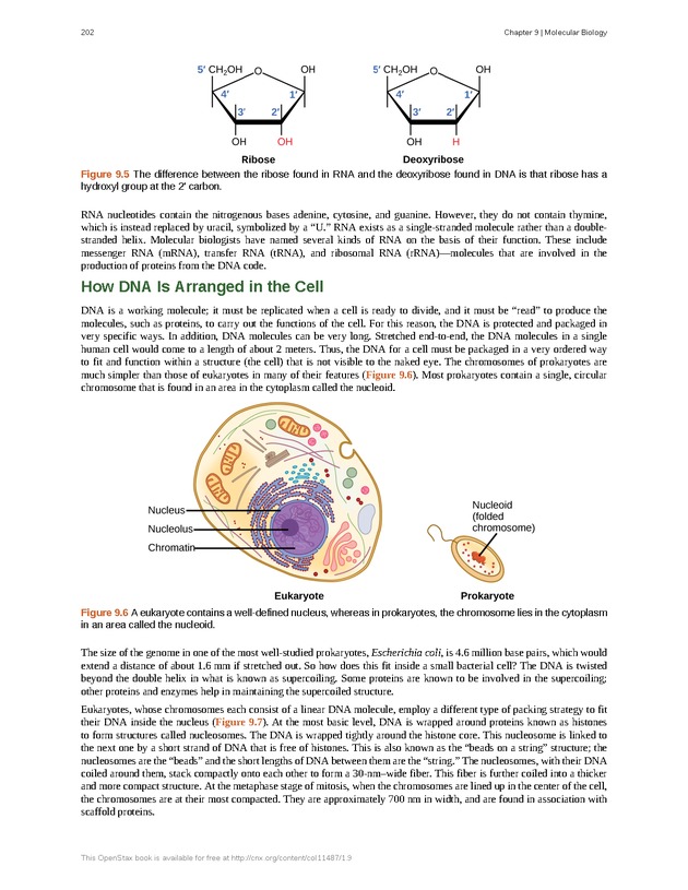 Concepts of Biology (non-majors) - Page 198