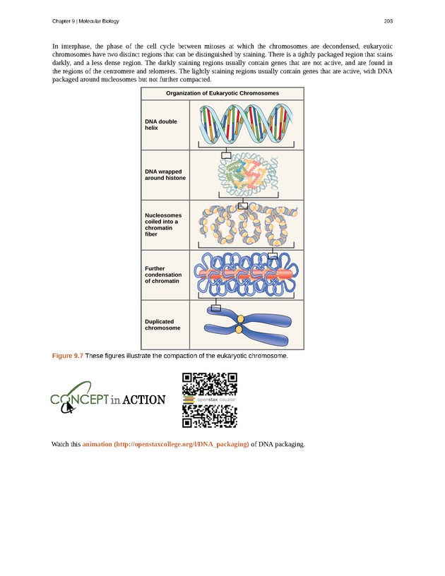 Concepts of Biology (non-majors) - Page 199