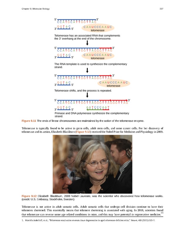 Concepts of Biology (non-majors) - Page 203