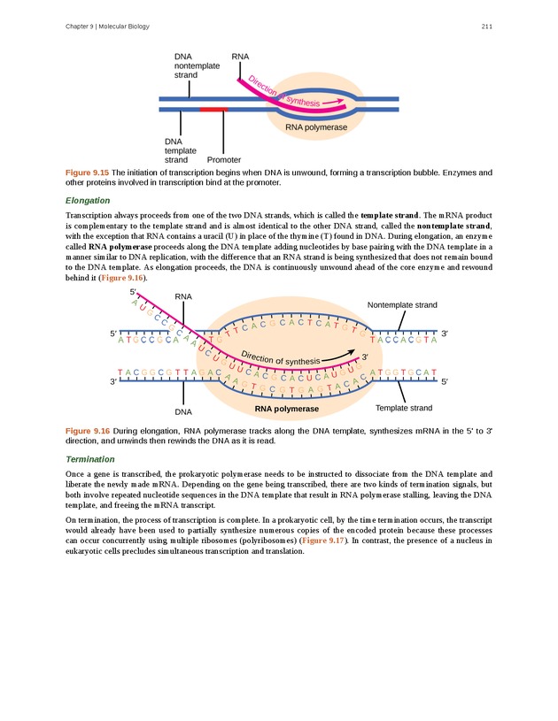 Concepts of Biology (non-majors) - Page 207