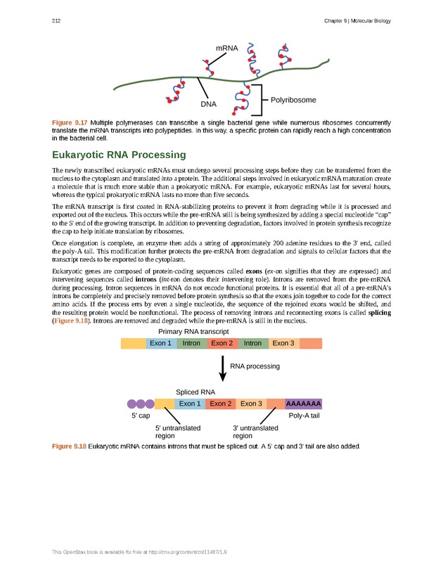 Concepts of Biology (non-majors) - Page 208