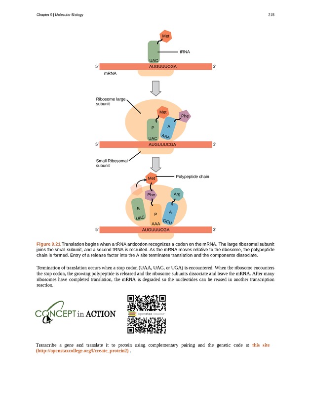 Concepts of Biology (non-majors) - Page 211