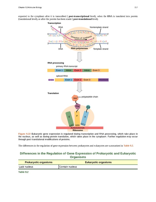 Concepts of Biology (non-majors) - Page 213