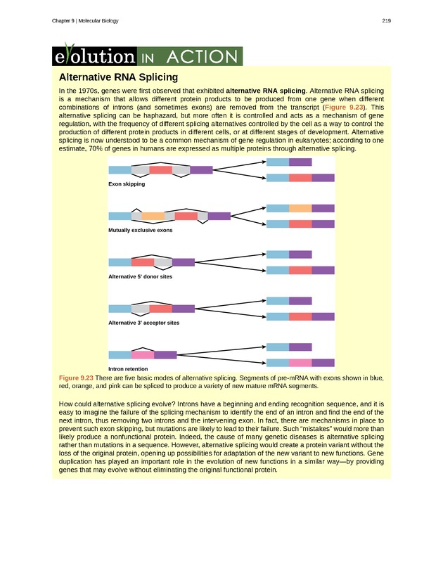 Concepts of Biology (non-majors) - Page 215