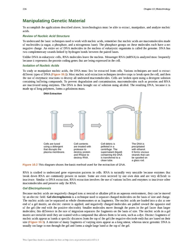 Concepts of Biology (non-majors) - Page 222