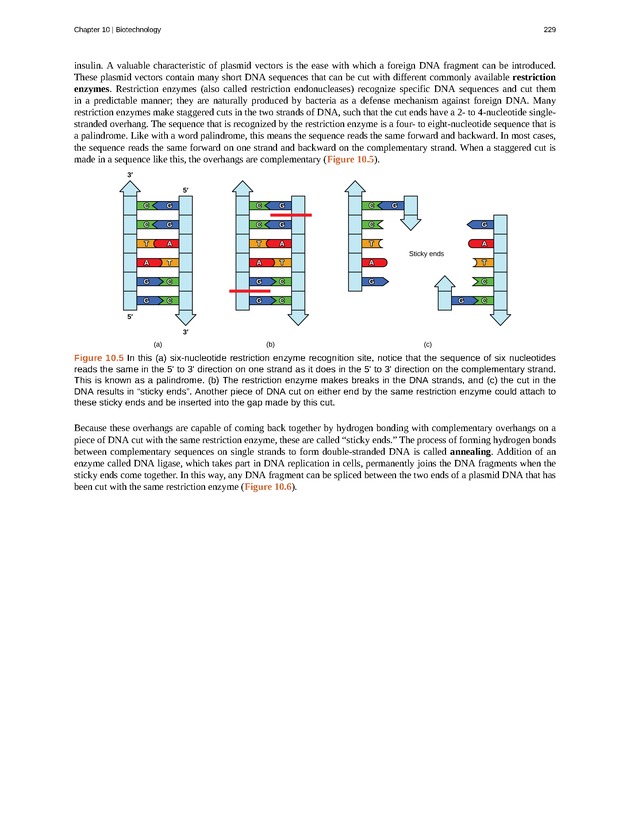 Concepts of Biology (non-majors) - Page 225