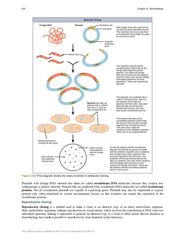 Concepts of Biology (non-majors) - Page 226
