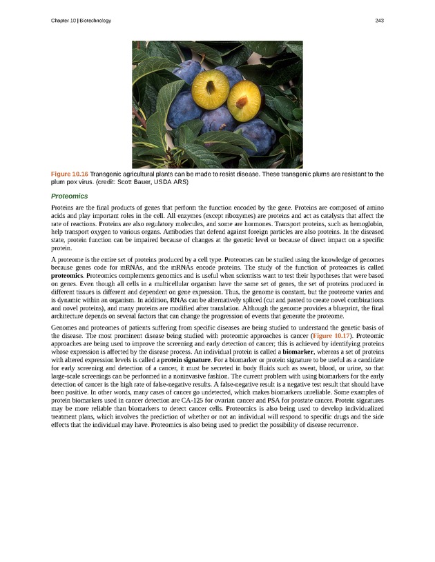 Concepts of Biology (non-majors) - Page 239