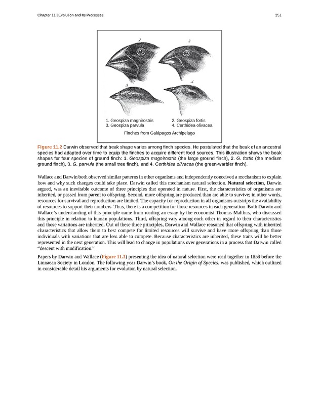 Concepts of Biology (non-majors) - Page 247