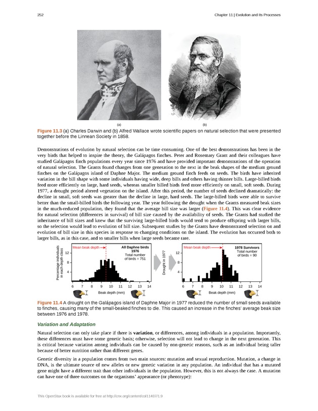 Concepts of Biology (non-majors) - Page 248