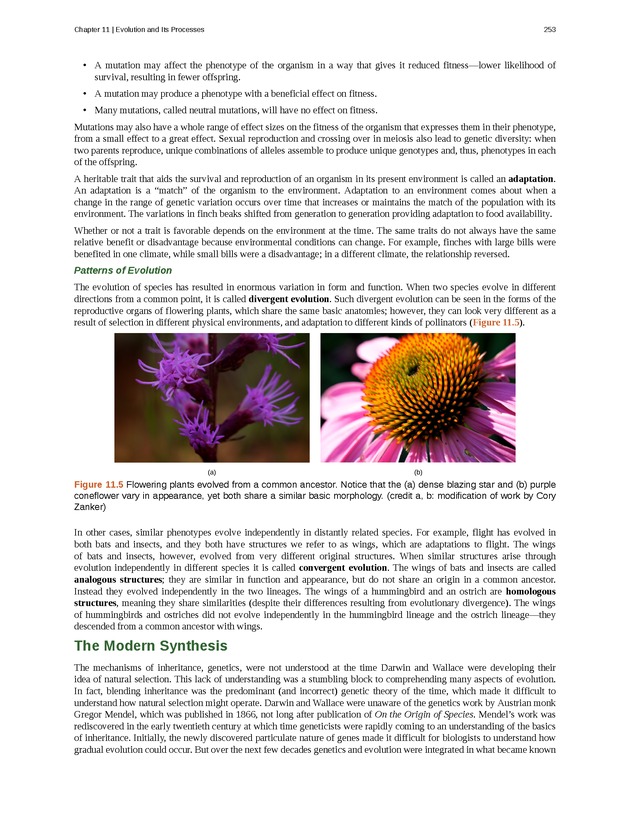 Concepts of Biology (non-majors) - Page 249