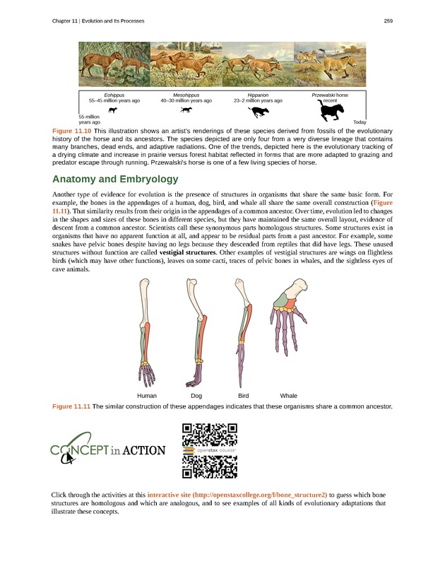 Concepts of Biology (non-majors) - Page 255