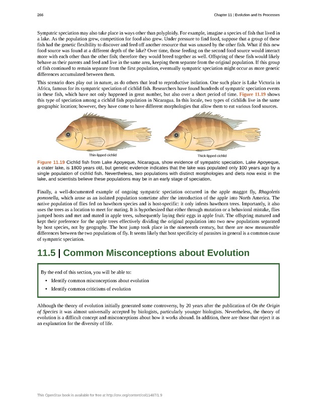 Concepts of Biology (non-majors) - Page 262