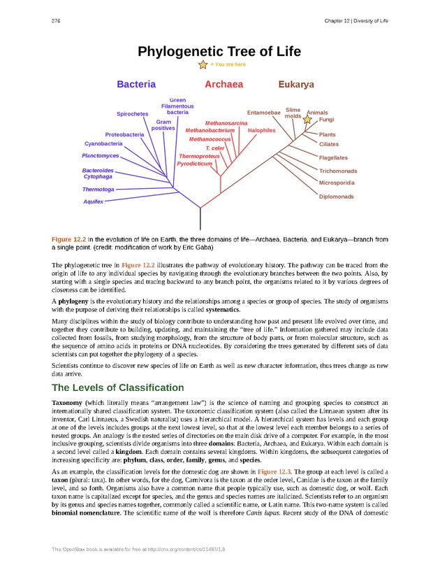Concepts of Biology (non-majors) - Page 272