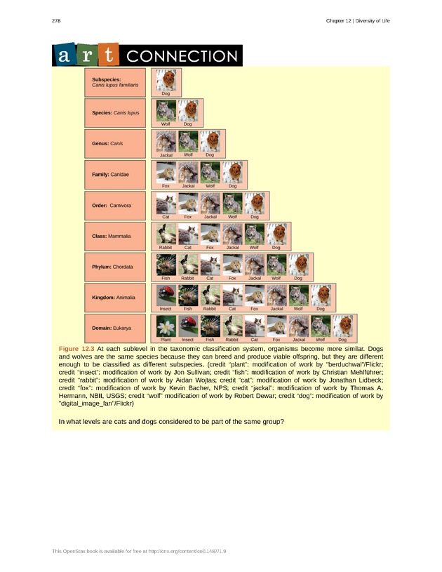 Concepts of Biology (non-majors) - Page 274