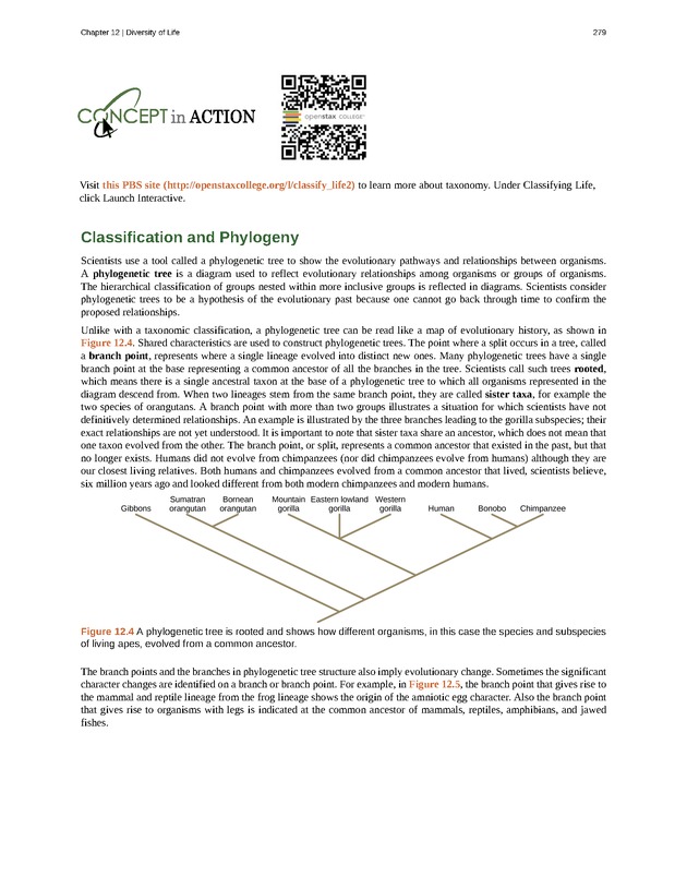 Concepts of Biology (non-majors) - Page 275