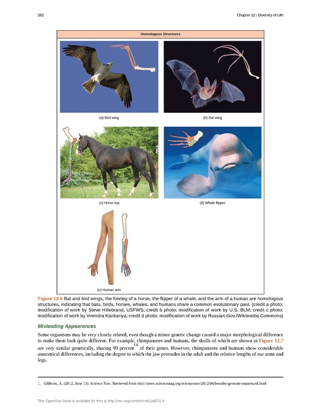 Concepts of Biology (non-majors) - Page 278