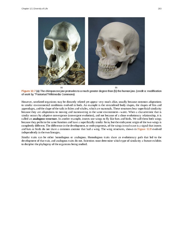 Concepts of Biology (non-majors) - Page 279