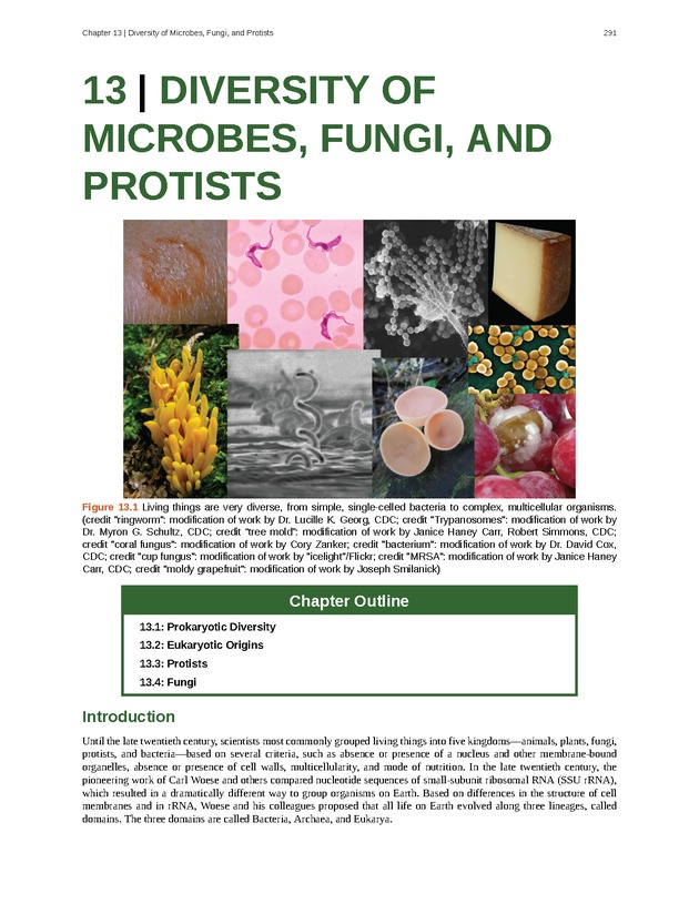 Concepts of Biology (non-majors) - Page 287