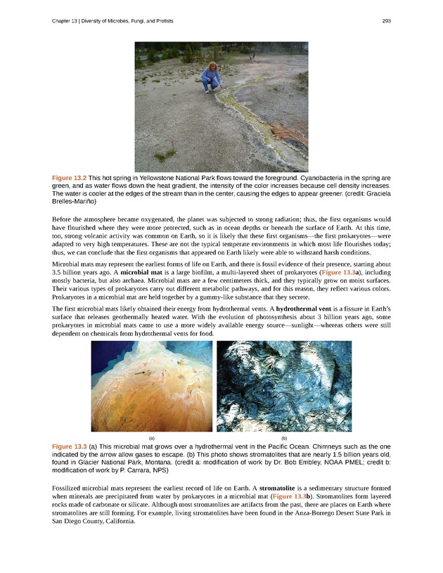 Concepts of Biology (non-majors) - Page 289