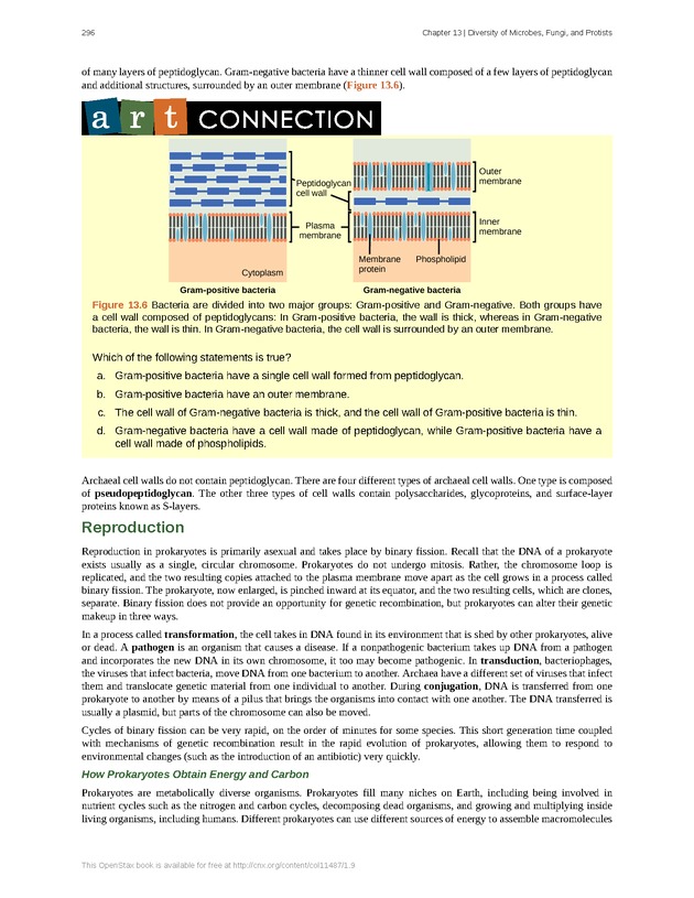 Concepts of Biology (non-majors) - Page 292