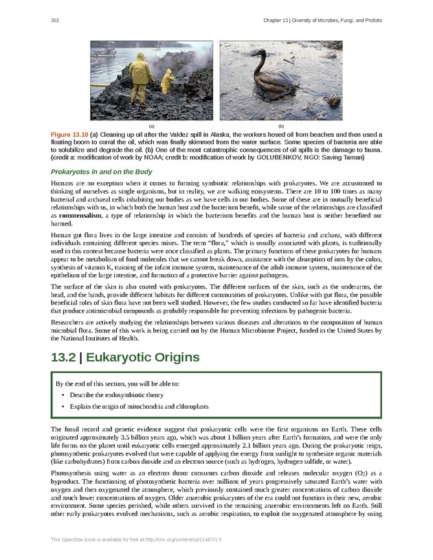Concepts of Biology (non-majors) - Page 298