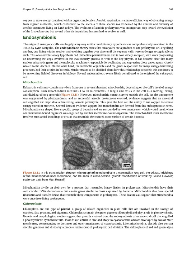 Concepts of Biology (non-majors) - Page 299
