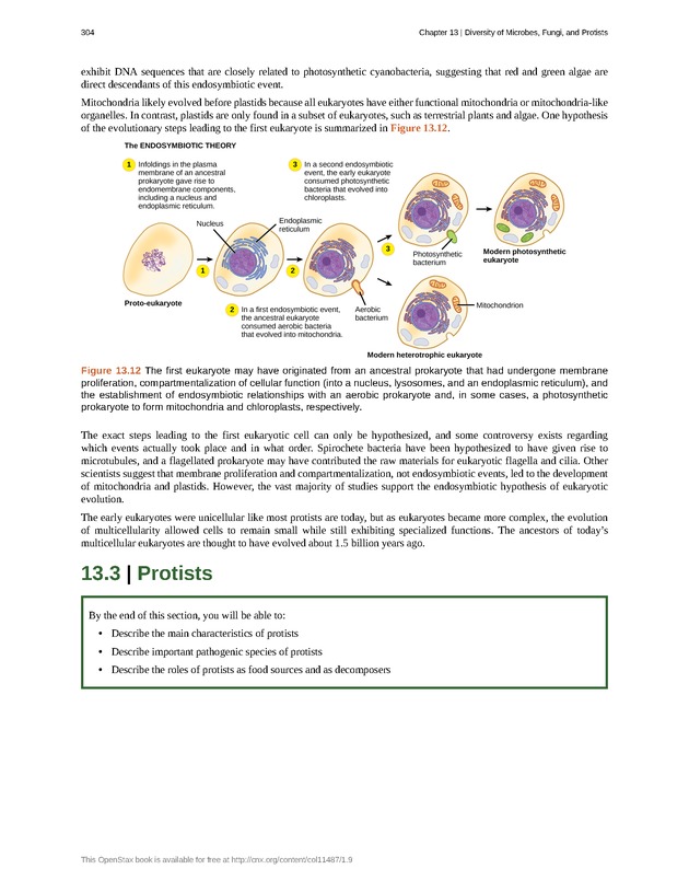 Concepts of Biology (non-majors) - Page 300