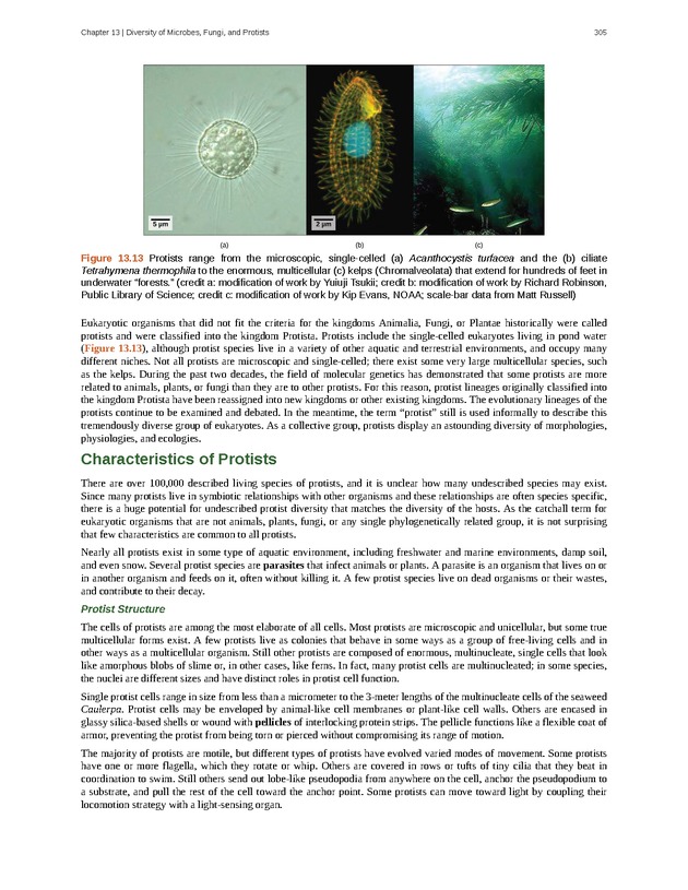 Concepts of Biology (non-majors) - Page 301