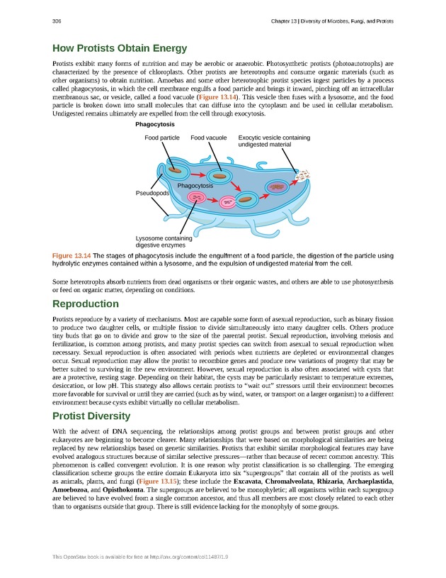 Concepts of Biology (non-majors) - Page 302