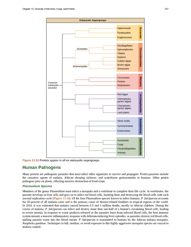 Concepts of Biology (non-majors) - Page 303