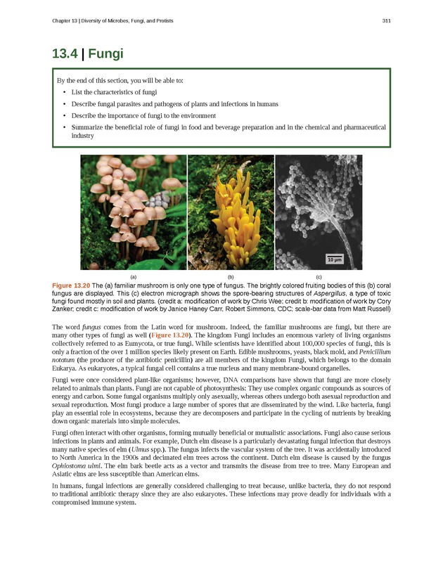 Concepts of Biology (non-majors) - Page 307