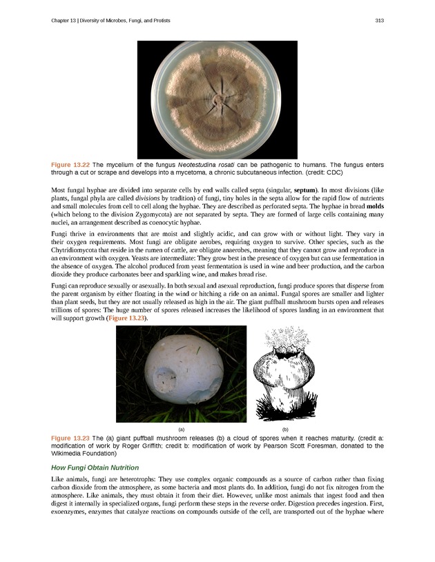 Concepts of Biology (non-majors) - Page 309