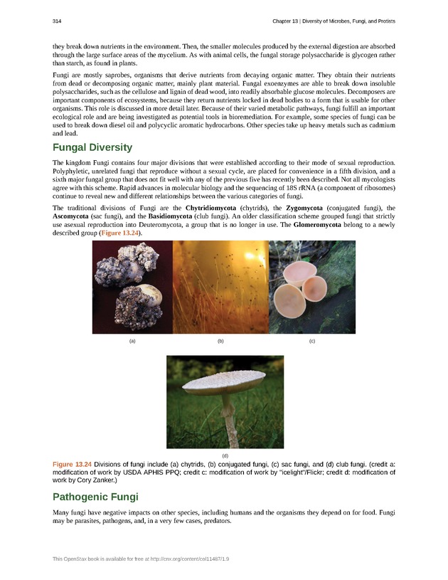 Concepts of Biology (non-majors) - Page 310