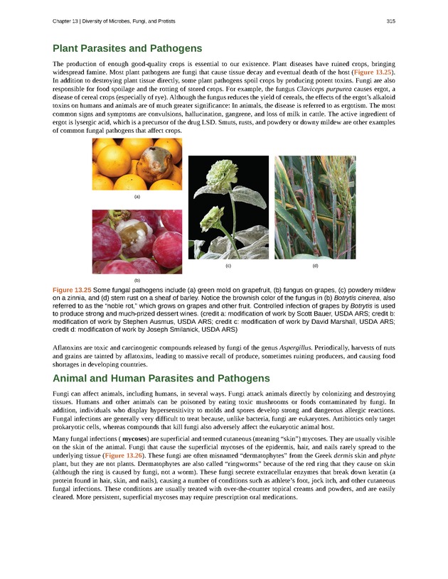 Concepts of Biology (non-majors) - Page 311