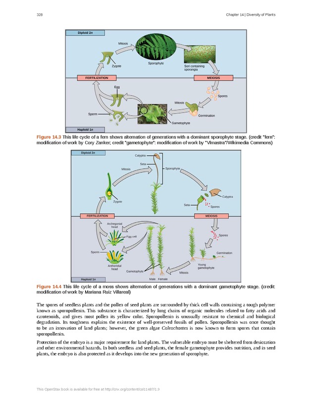 Concepts of Biology (non-majors) - Page 324